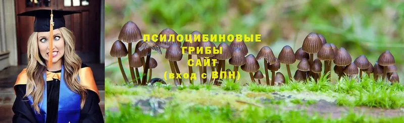 Галлюциногенные грибы MAGIC MUSHROOMS  как найти наркотики  Тырныауз 